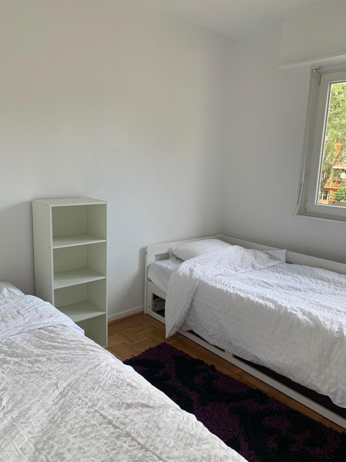 En Face De La Gare De St-louis Appartement Saint-Louis (Haut-Rhin)